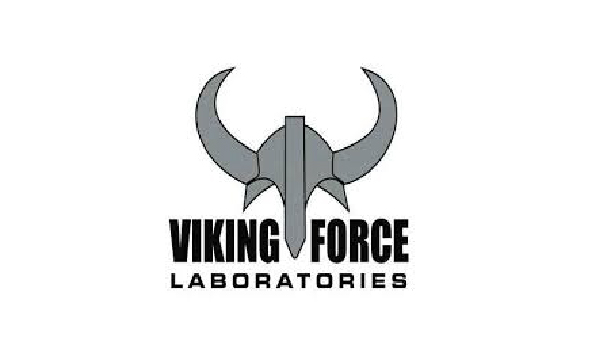 وایکینگ فورس