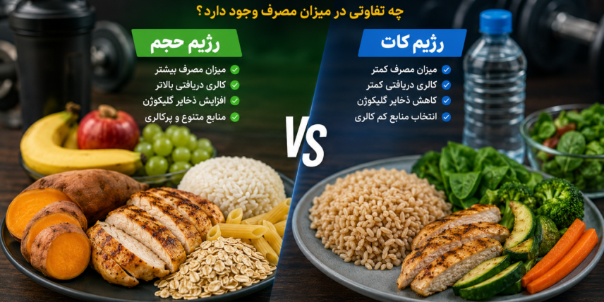 کربوهیدرات در رژیم حجم و کات؛ چه تفاوتی در میزان مصرف وجود دارد؟